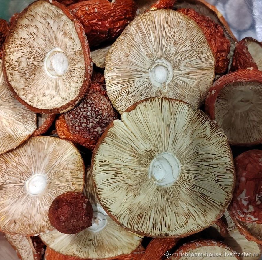 Фото отзыва