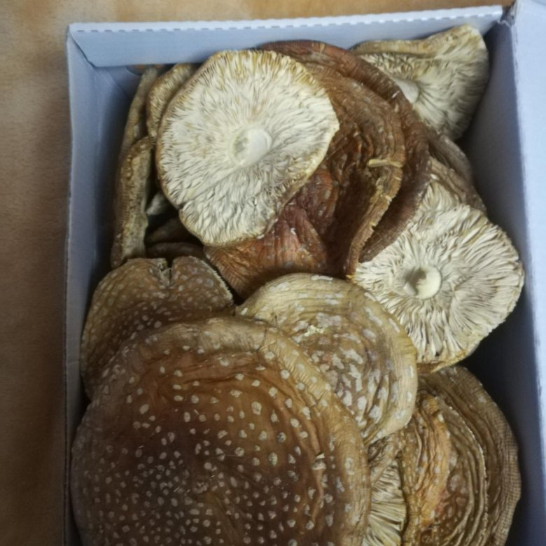 Фото отзыва